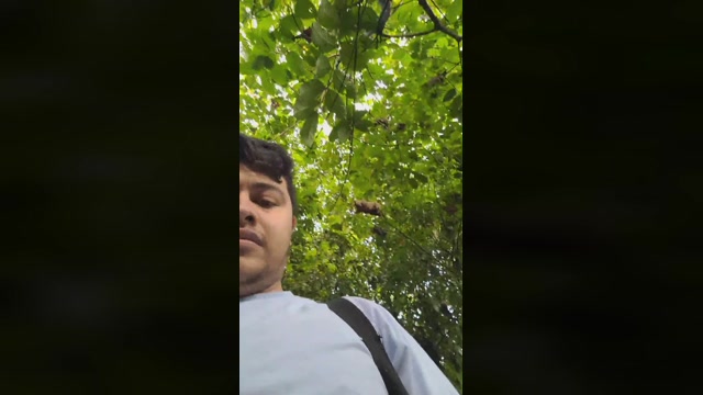 cute_plop  10-07-2022